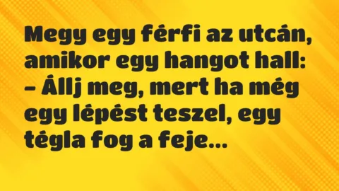 Megy egy férfi az utcán, amikor egy hangot hall:
– Állj meg, mert… – Vicc Megy egy férfi az utcán, amikor egy hangot hall:
– Állj meg, mert… – Vicc