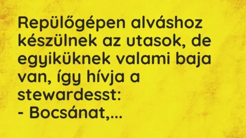 Repülőgépen alváshoz készülnek az utasok, de egyiküknek valami baja… – Vicc