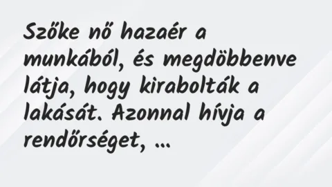 Szőke nő hazaér a munkából, és megdöbbenve látja, hogy kirabolták a… – Vicc Szőke nő hazaér a munkából, és megdöbbenve látja, hogy kirabolták a… – Vicc