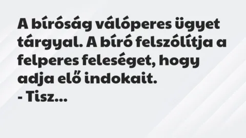 Vicc: A bíróság válóperes ügyet tárgyal. A bíró felszólítja a felperes…