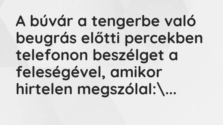 Vicc: A búvár a tengerbe való beugrás előtti percekben telefonon beszélget a… Vicc: A búvár a tengerbe való beugrás előtti percekben telefonon beszélget a…