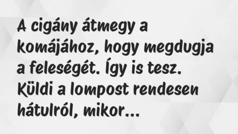 Vicc: A cigány átmegy a komájához, hogy megdugja a feleségét. Így is…
