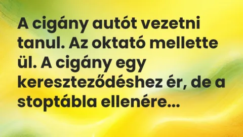 Vicc: A cigány autót vezetni tanul. Az oktató mellette ül. A cigány egy… Vicc: A cigány autót vezetni tanul. Az oktató mellette ül. A cigány egy…