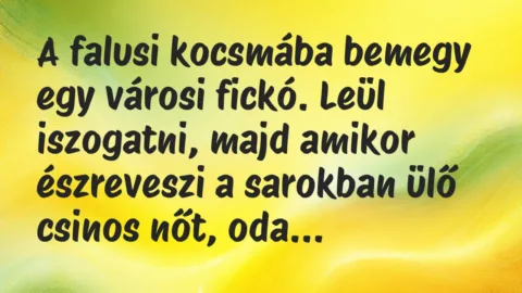 Vicc: A falusi kocsmába bemegy egy városi fickó. Leül iszogatni, majd amikor…