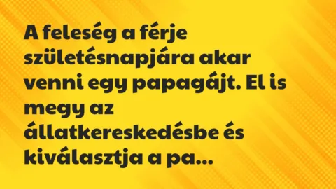 Vicc: A feleség a férje születésnapjára akar venni egy papagájt. El is megy… Vicc: A feleség a férje születésnapjára akar venni egy papagájt. El is megy…