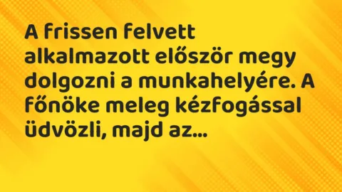 Vicc: A frissen felvett alkalmazott először megy dolgozni a munkahelyére. A…