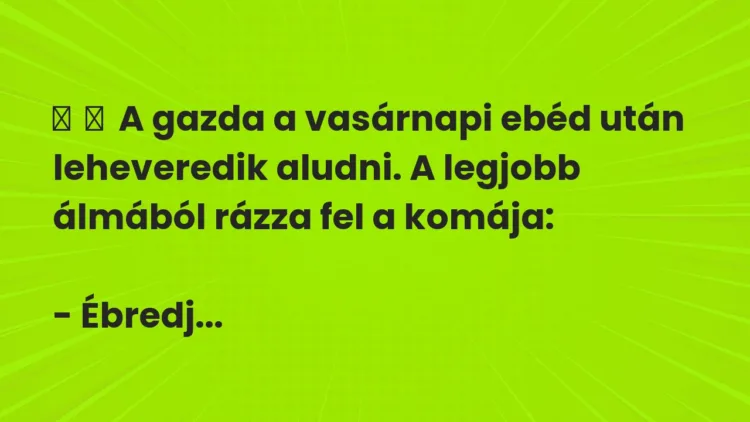 Vicc:
A gazda a vasárnapi ebéd után leheveredik aludni. A legjobb… Vicc:
A gazda a vasárnapi ebéd után leheveredik aludni. A legjobb…