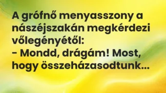 Vicc: A grófnő menyasszony a nászéjszakán megkérdezi vőlegényétől:

-…