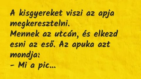 Vicc: A kisgyereket viszi az apja megkeresztelni.

Mennek az utcán, és…