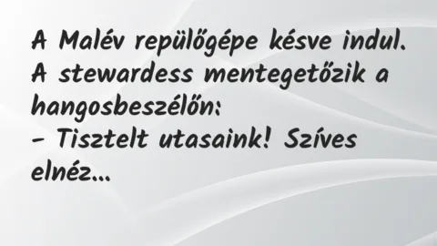 Vicc: A Malév repülőgépe késve indul. A stewardess mentegetőzik a… Vicc: A Malév repülőgépe késve indul. A stewardess mentegetőzik a…