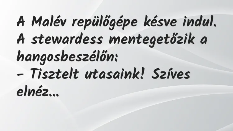 Vicc: A Malév repülőgépe késve indul. A stewardess mentegetőzik a… Vicc: A Malév repülőgépe késve indul. A stewardess mentegetőzik a…