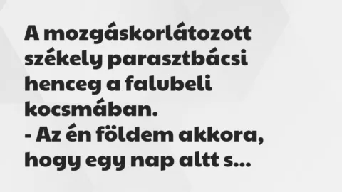 Vicc: A mozgáskorlátozott székely parasztbácsi henceg a falubeli…
