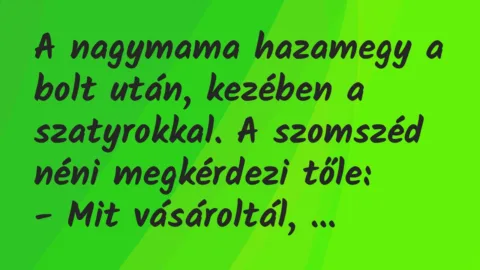 Vicc: A nagymama hazamegy a bolt után, kezében a szatyrokkal. Vicc: A nagymama hazamegy a bolt után, kezében a szatyrokkal.