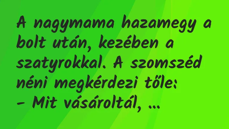 Vicc: A nagymama hazamegy a bolt után, kezében a szatyrokkal. Vicc: A nagymama hazamegy a bolt után, kezében a szatyrokkal.