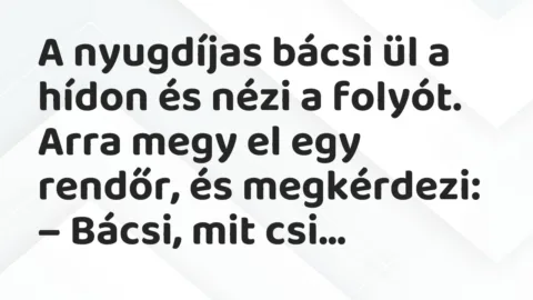 Vicc: A nyugdíjas bácsi ül a hídon és nézi a folyót.