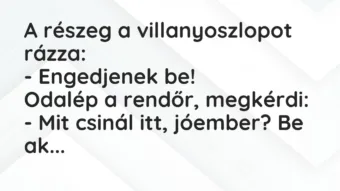 Vicc: A részeg a villanyoszlopot rázza:

– Engedjenek be!

Odalép a…