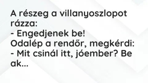 Vicc: A részeg a villanyoszlopot rázza:
– Engedjenek be!
Odalép a… Vicc: A részeg a villanyoszlopot rázza:
– Engedjenek be!
Odalép a…