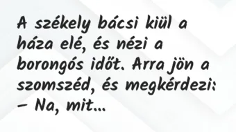 Vicc: A székely bácsi kiül a háza elé, és nézi a borongós időt. Vicc: A székely bácsi kiül a háza elé, és nézi a borongós időt.