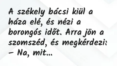 Vicc: A székely bácsi kiül a háza elé, és nézi a borongós időt. Vicc: A székely bácsi kiül a háza elé, és nézi a borongós időt.