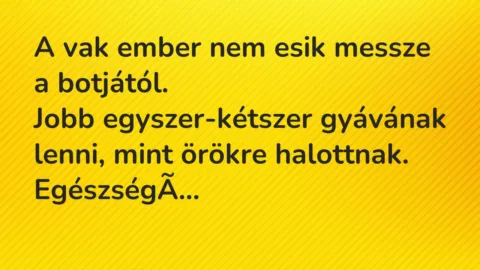 Vicc: A vak ember nem esik messze a botjától.

Jobb egyszer-kétszer…