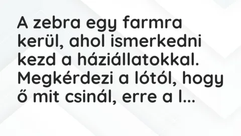 Vicc: A zebra egy farmra kerül, ahol ismerkedni kezd a háziállatokkal…. Vicc: A zebra egy farmra kerül, ahol ismerkedni kezd a háziállatokkal….