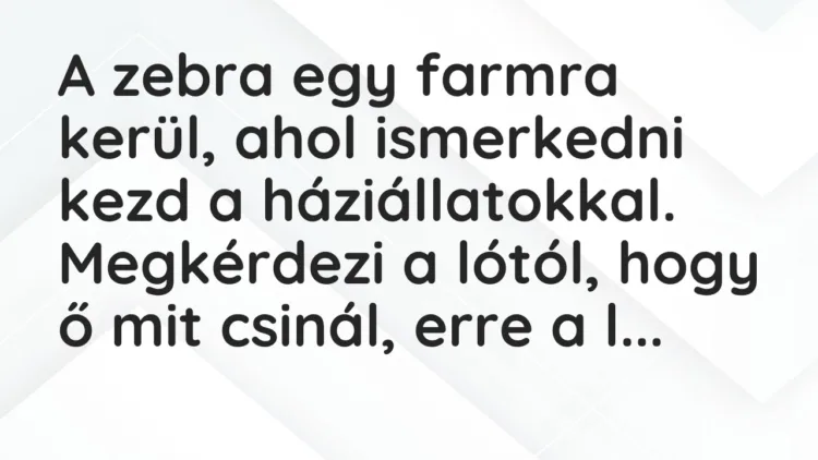 Vicc: A zebra egy farmra kerül, ahol ismerkedni kezd a háziállatokkal…. Vicc: A zebra egy farmra kerül, ahol ismerkedni kezd a háziállatokkal….