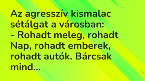 Vicc: Az agresszív kismalac sétálgat a városban:

– Rohadt meleg, rohadt…