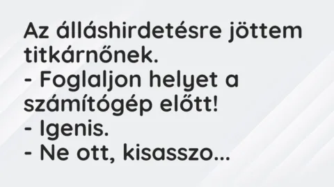 Vicc: Az álláshirdetésre jöttem titkárnőnek.

– Foglaljon helyet a…
