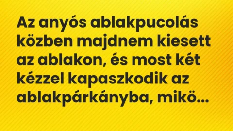 Vicc: Az anyós ablakpucolás közben majdnem kiesett az ablakon, és most két…