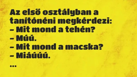 Vicc: Az első osztályban a tanítónéni megkérdezi:
– Mit mond a… Vicc: Az első osztályban a tanítónéni megkérdezi:
– Mit mond a…