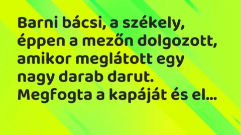 Vicc: Barni bácsi, a székely, éppen a mezőn dolgozott, amikor meglátott egy nagy darab darut.