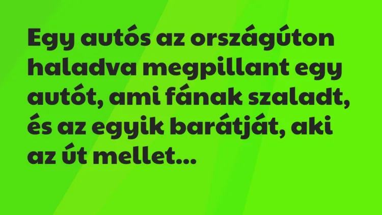 Vicc: Egy autós az országúton haladva megpillant egy autót, ami fának… Vicc: Egy autós az országúton haladva megpillant egy autót, ami fának…