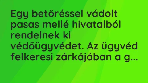 Vicc: Egy betöréssel vádolt pasas mellé hivatalból rendelnek ki… Vicc: Egy betöréssel vádolt pasas mellé hivatalból rendelnek ki…