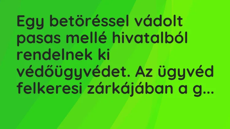 Vicc: Egy betöréssel vádolt pasas mellé hivatalból rendelnek ki… Vicc: Egy betöréssel vádolt pasas mellé hivatalból rendelnek ki…