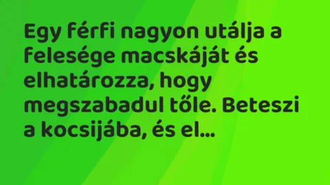 Vicc: Egy férfi nagyon utálja a felesége macskáját és elhatározza, hogy… Vicc: Egy férfi nagyon utálja a felesége macskáját és elhatározza, hogy…