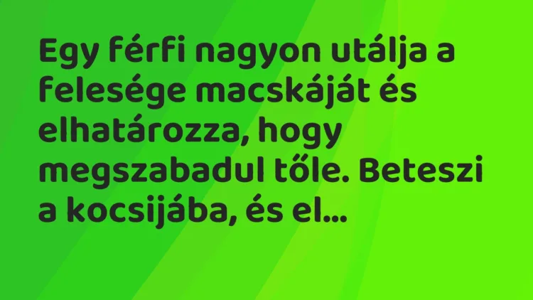 Vicc: Egy férfi nagyon utálja a felesége macskáját és elhatározza, hogy… Vicc: Egy férfi nagyon utálja a felesége macskáját és elhatározza, hogy…