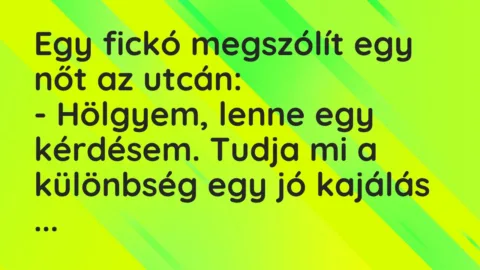 Vicc: Egy fickó megszólít egy nőt az utcán:

– Hölgyem, lenne egy…