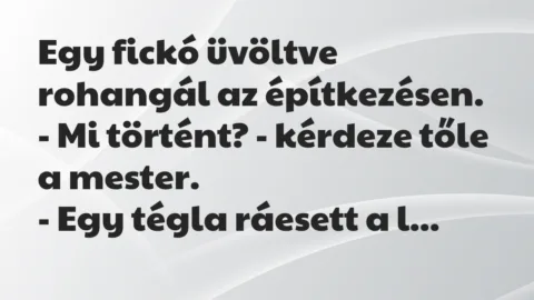 Vicc: Egy fickó üvöltve rohangál az építkezésen.

– Mi történt? -…