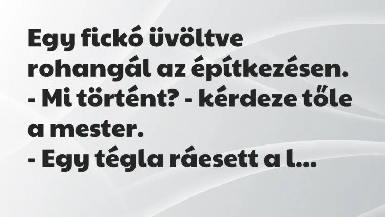 Vicc: Egy fickó üvöltve rohangál az építkezésen.
– Mi történt? -… Vicc: Egy fickó üvöltve rohangál az építkezésen.
– Mi történt? -…