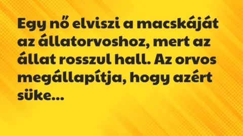 Vicc: Egy nő elviszi a macskáját az állatorvoshoz, mert az állat rosszul… Vicc: Egy nő elviszi a macskáját az állatorvoshoz, mert az állat rosszul…