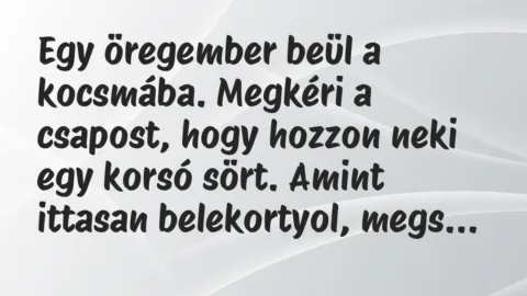 Vicc: Egy öregember beül a kocsmába. Megkéri a csapost, hogy hozzon neki egy…