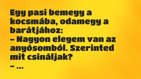 Vicc: Egy pasi bemegy a kocsmába, odamegy a barátjához:

– Nagyon elegem…