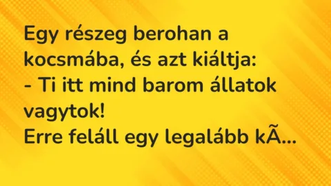 Vicc: Egy részeg berohan a kocsmába, és azt kiáltja:

– Ti itt mind…