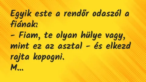 Vicc: Egyik este a rendőr odaszól a fiának:

– Fiam, te olyan hülye…