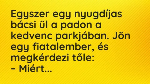 Vicc: Egyszer egy nyugdíjas bácsi ül a padon a kedvenc parkjában.