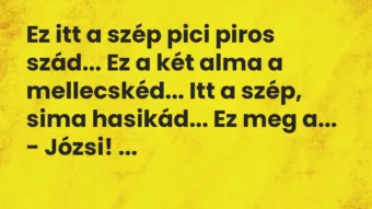 Vicc: Ez itt a szép pici piros szád… Ez a két alma a mellecskéd… Itt a… Vicc: Ez itt a szép pici piros szád… Ez a két alma a mellecskéd… Itt a…