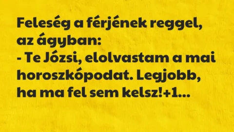 Vicc: Feleség a férjének reggel, az ágyban:

– Te Józsi, elolvastam a ma…