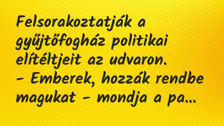 Vicc: Felsorakoztatják a gyűjtőfogház politikai elítéltjeit az… Vicc: Felsorakoztatják a gyűjtőfogház politikai elítéltjeit az…
