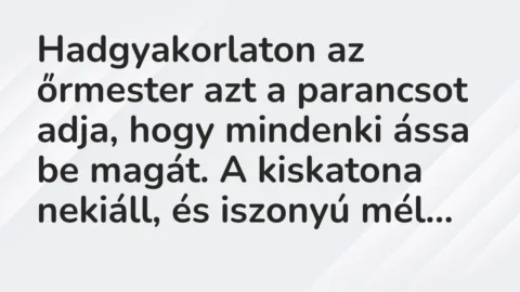 Vicc: Hadgyakorlaton az őrmester azt a parancsot adja, hogy mindenki ássa be…