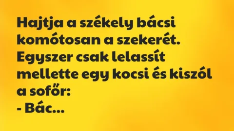 Vicc: Hajtja a székely bácsi komótosan a szekerét. Egyszer csak lelassít…